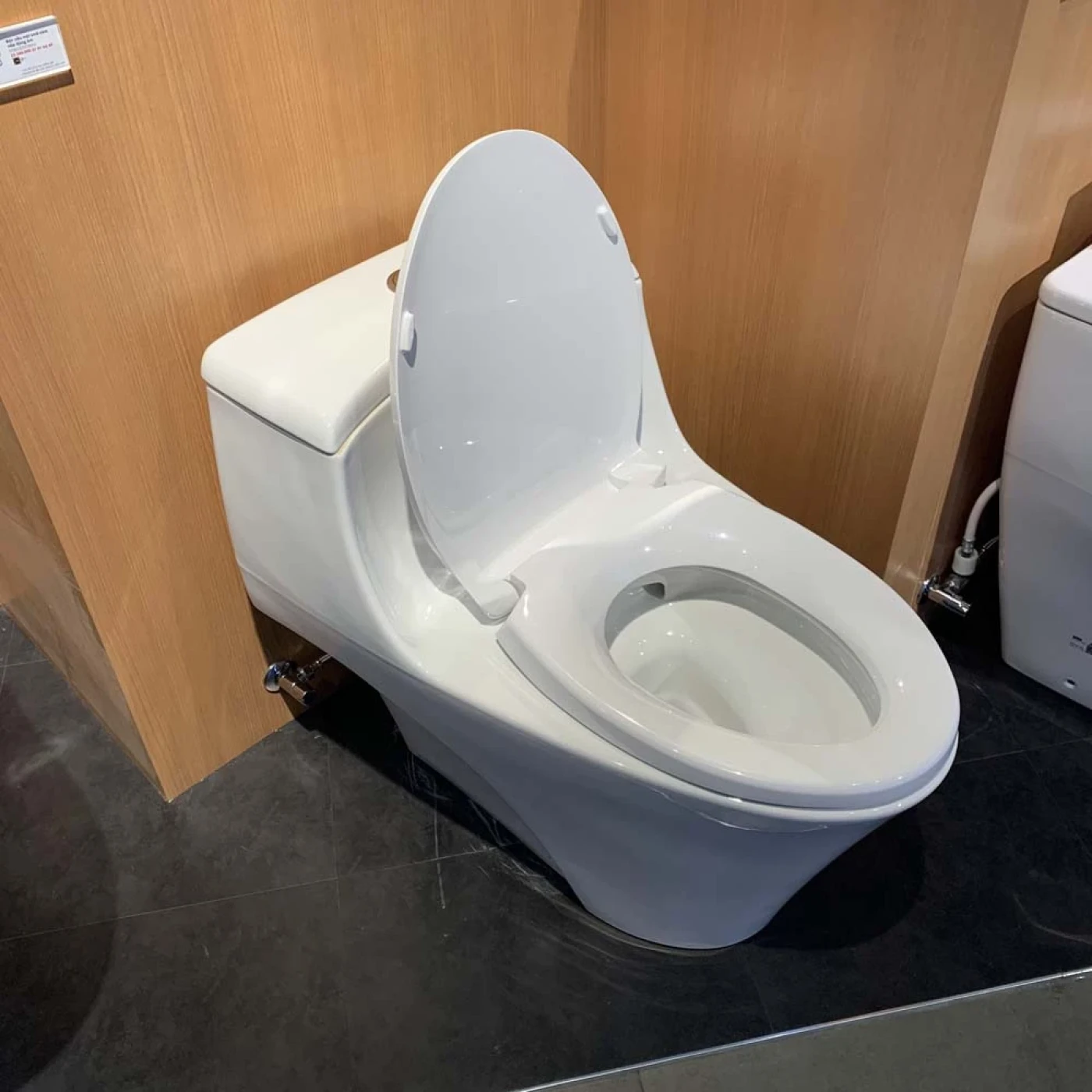 bon cau toto ms823drt2 xw htt4