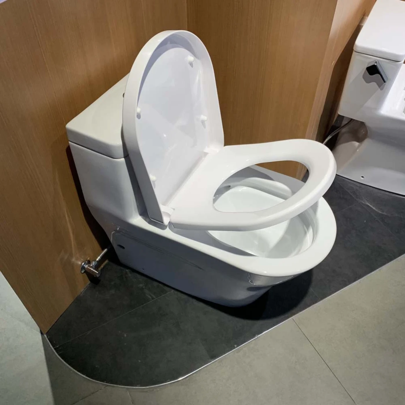 cw166rb xw tc384cvk w t53p100vr htt9