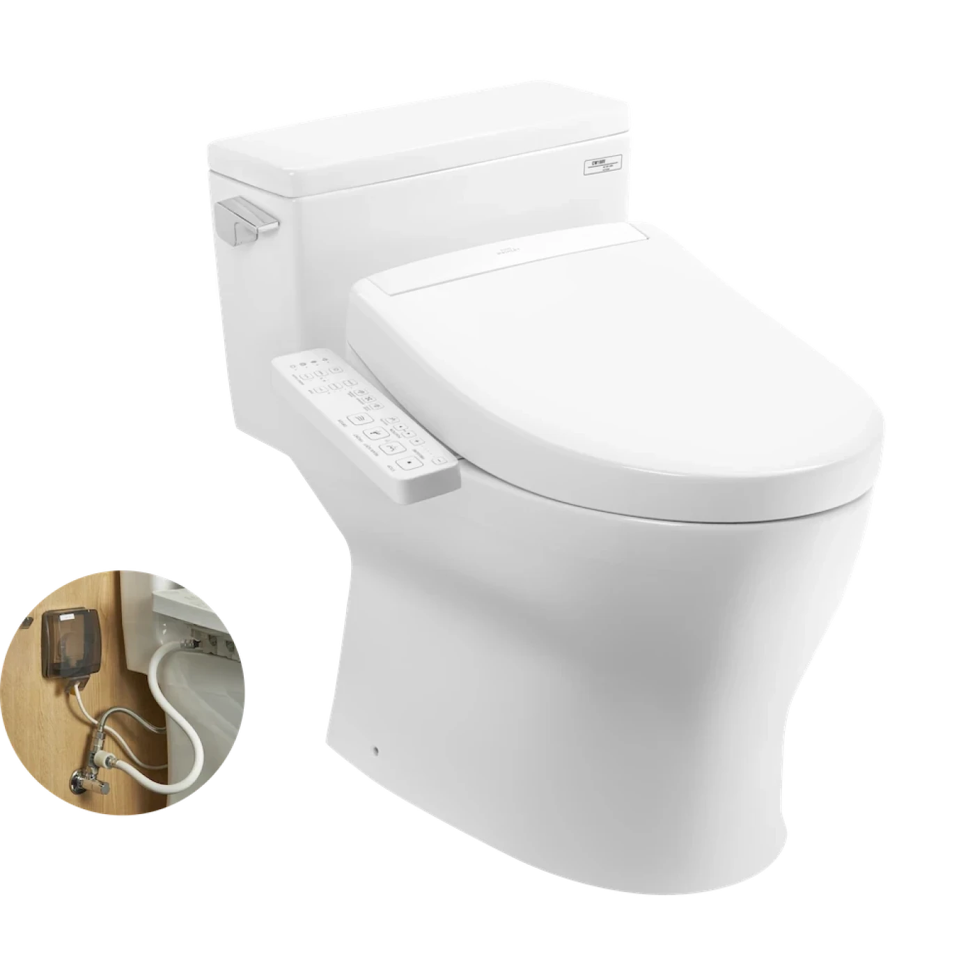 mau bon cau toto ms188vkw24