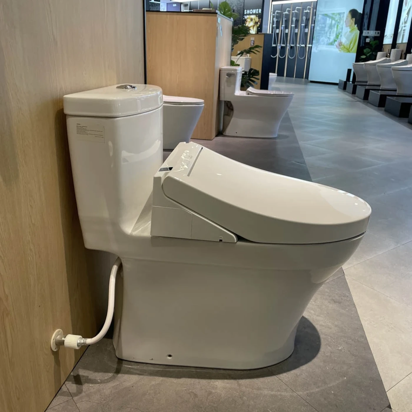 mau bon cau toto ms889cdrw15