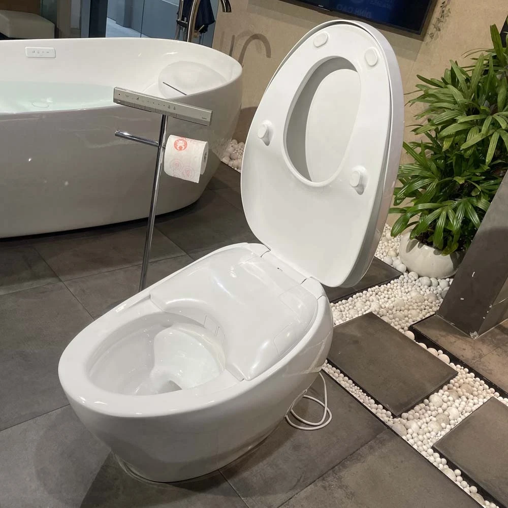 Ảnh Bồn cầu thông minh TOTO CS900VT/T53P100VR 4