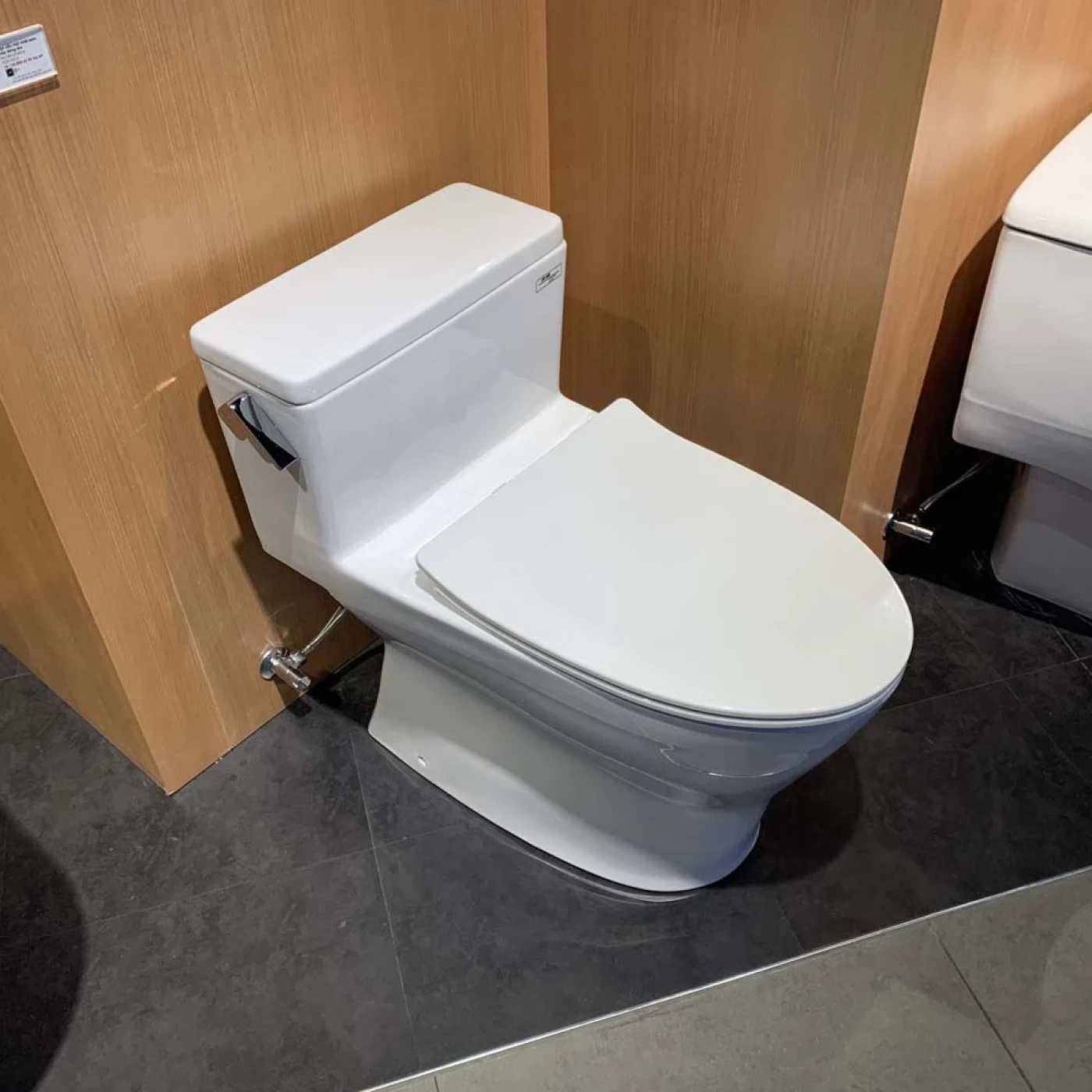 toto ms188vkt8 xw t53p100vr htt1