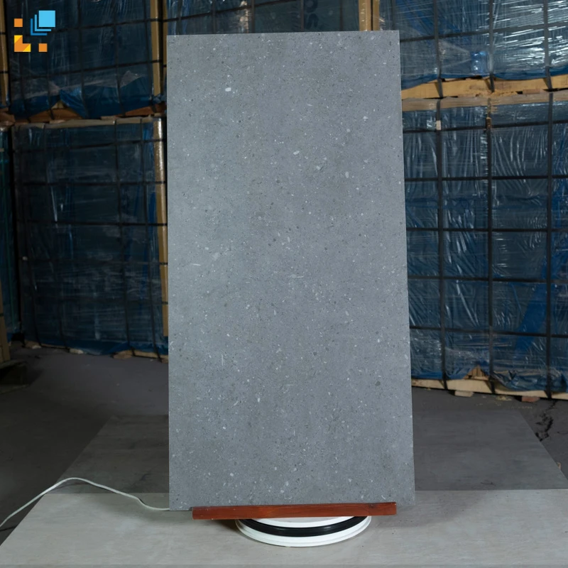 Ảnh Gạch Trung Quốc HLTQ612121 3