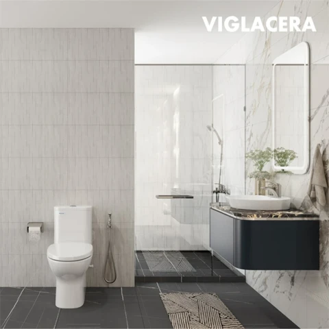 Ảnh Bồn cầu 1 khối Viglacera V848 4