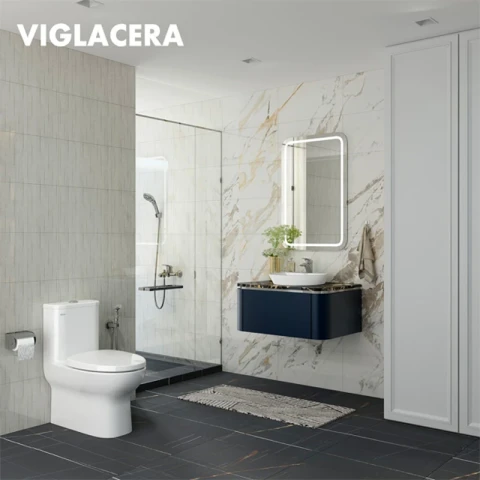 Ảnh Bồn cầu 1 khối Viglacera V848 3