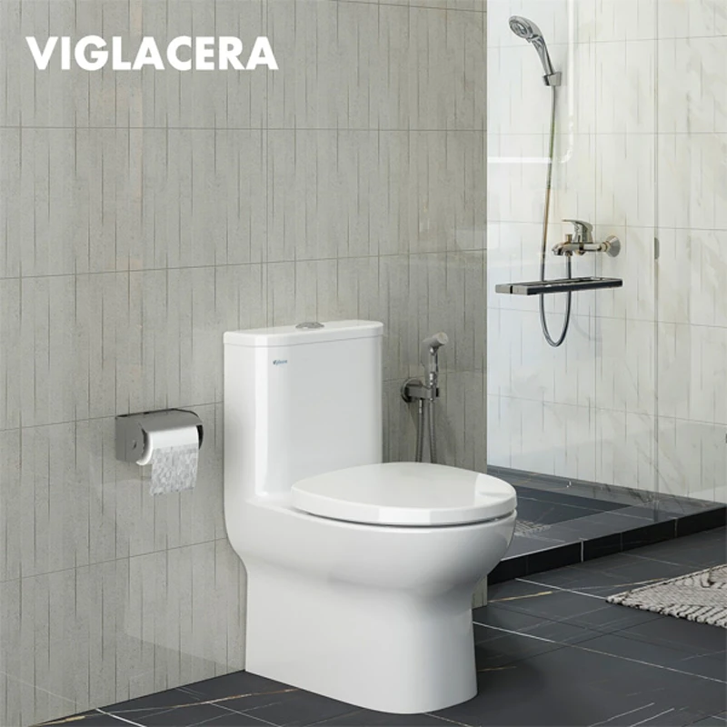 ban cau viglacera v848 sang trong