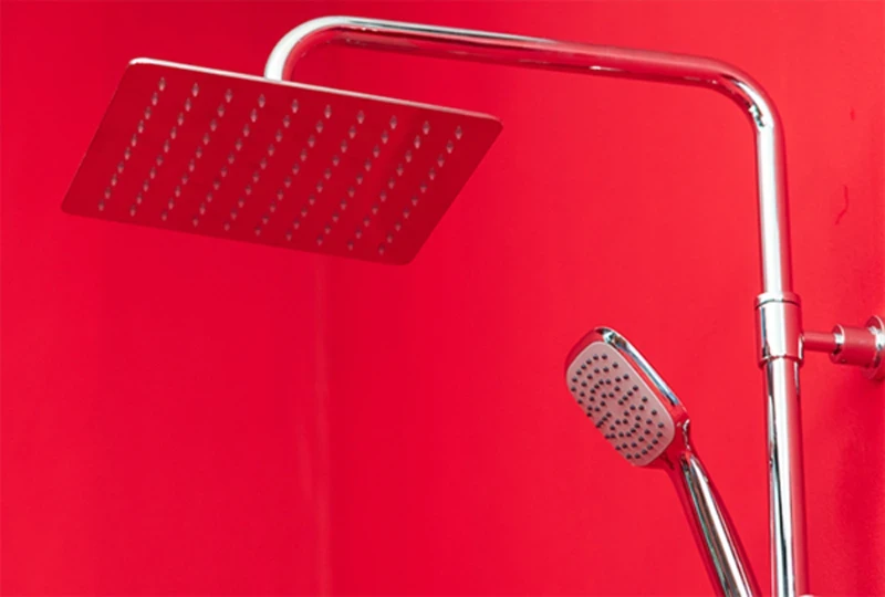 Ảnh Sen tắm cây Sanfi SF585 5