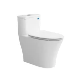 Bồn cầu 1 khối Viglacera V829 1