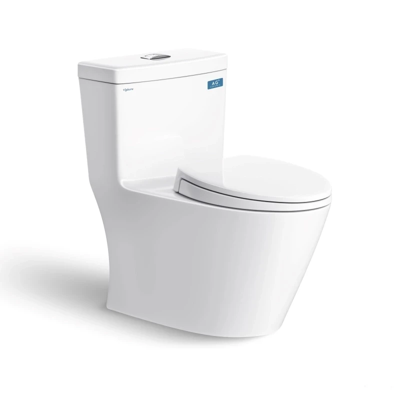 Bồn cầu 1 khối Viglacera V62