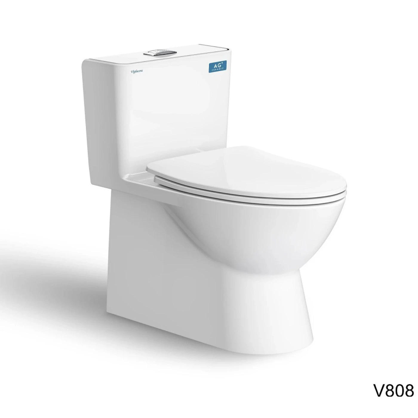 Bồn cầu Viglacera VG808