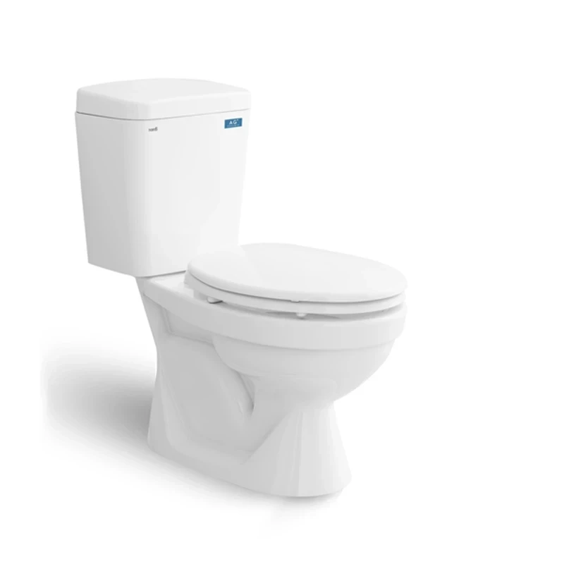 Ảnh Bồn cầu 2 khối Sanfi S201 1