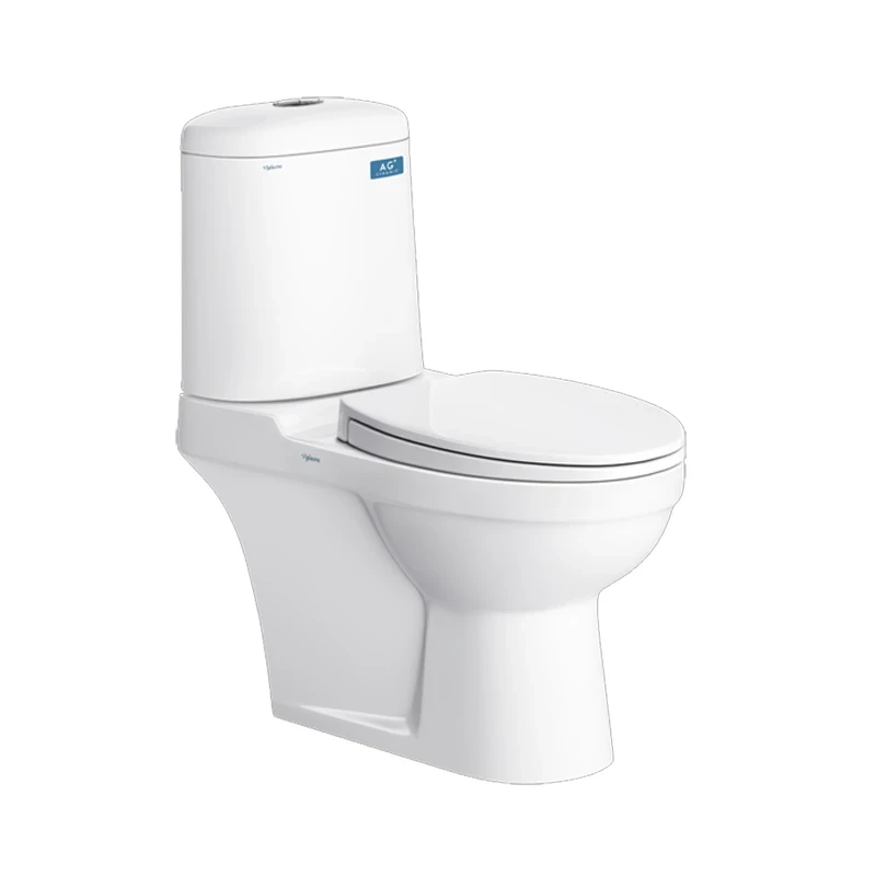 Bồn cầu 2 khối Viglacera VI107