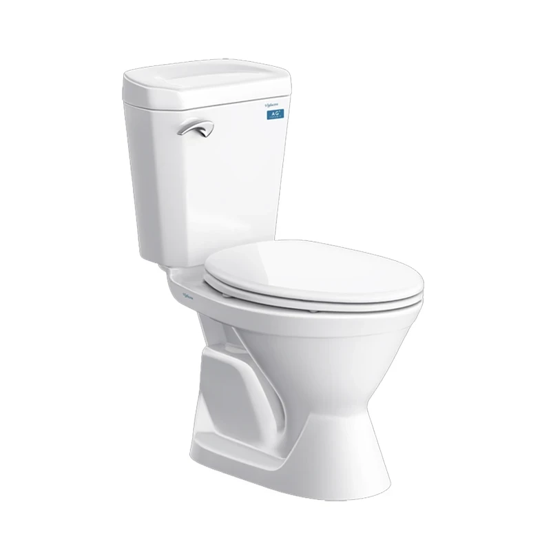 Bồn cầu 2 khối Viglacera VI77