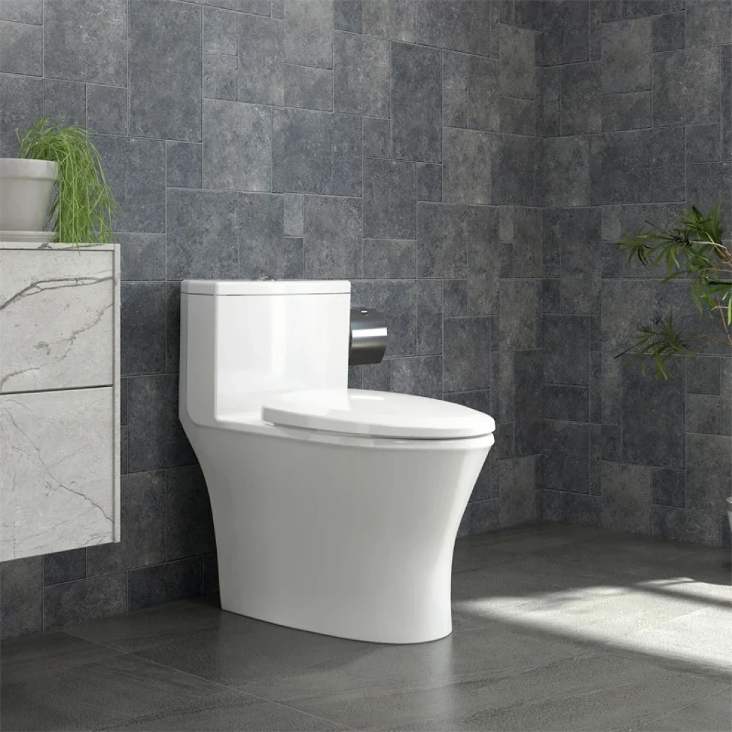 Ảnh Bồn cầu 1 khối Sanfi S303 3