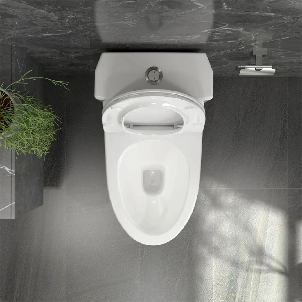 Ảnh Bồn cầu 1 khối Sanfi S303 5