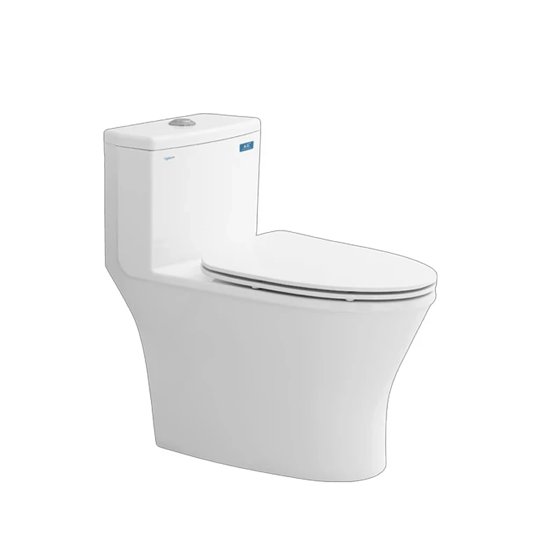Bồn cầu 1 khối Sanfi S303