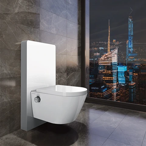 Ảnh Bồn cầu thông minh Platinum P.16.321 3