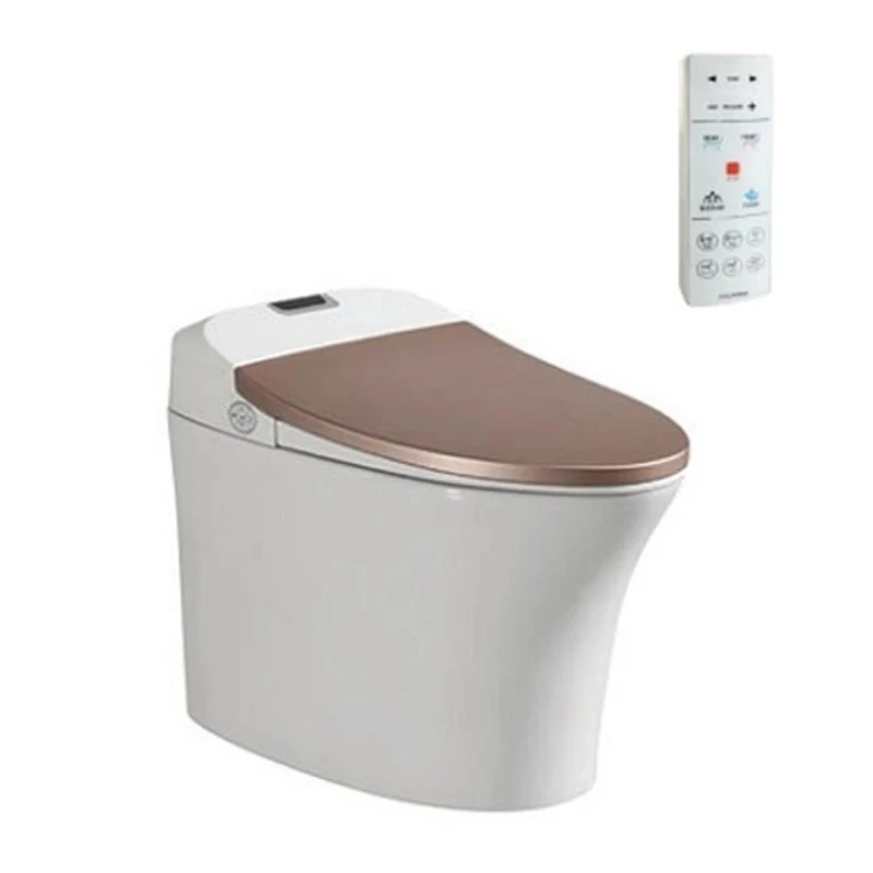 Ảnh Bồn cầu thông minh Viglacera V93GW 1