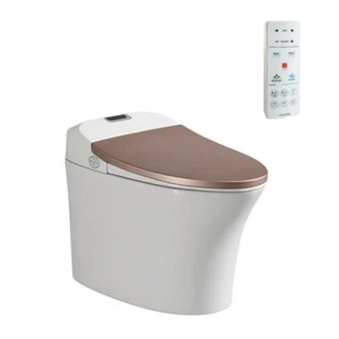 Ảnh Bồn cầu thông minh Viglacera V93GW 1