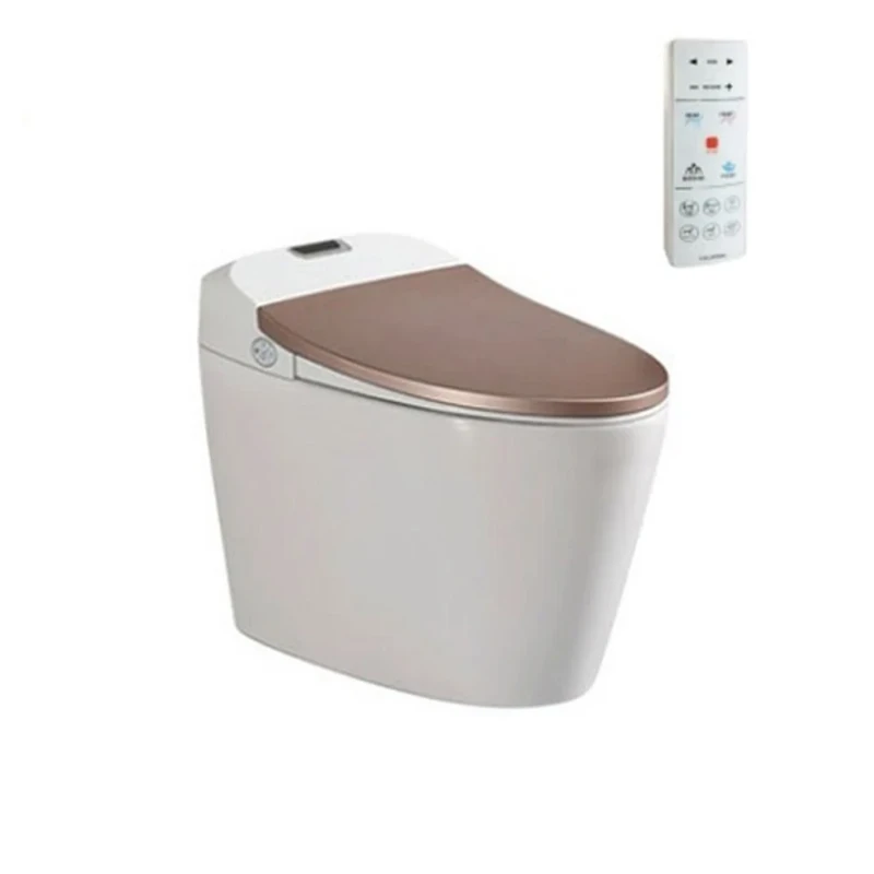 Bồn cầu thông minh Viglacera V94GW