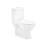 Bồn cầu 1 khối Viglacera BTE 1