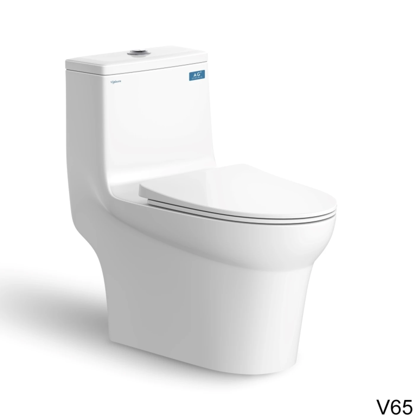 bon cau viglacera V65