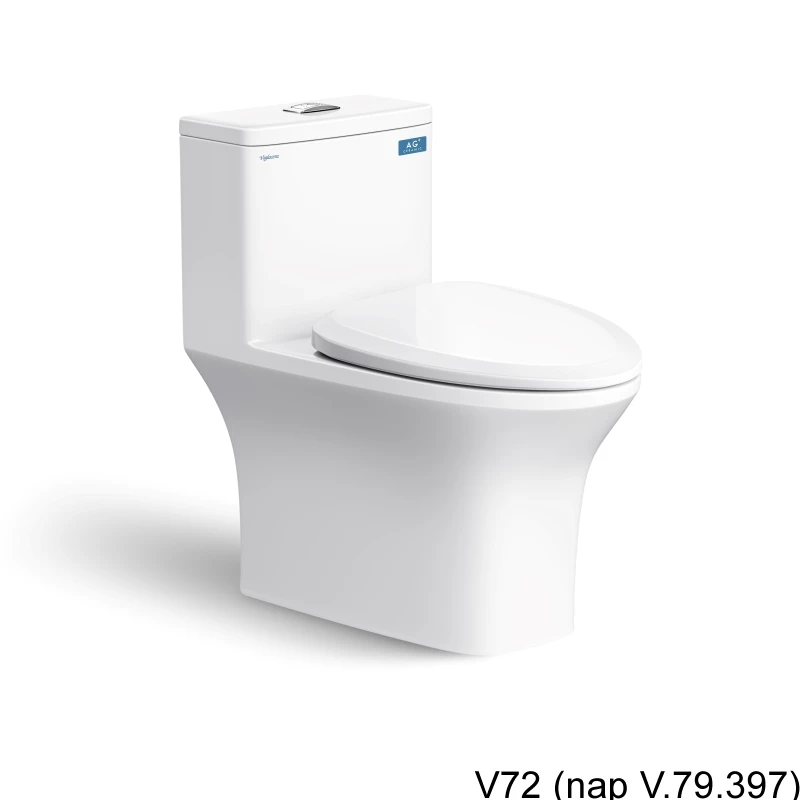 Ảnh Combo thiết bị vệ sinh Viglacera số 8 2