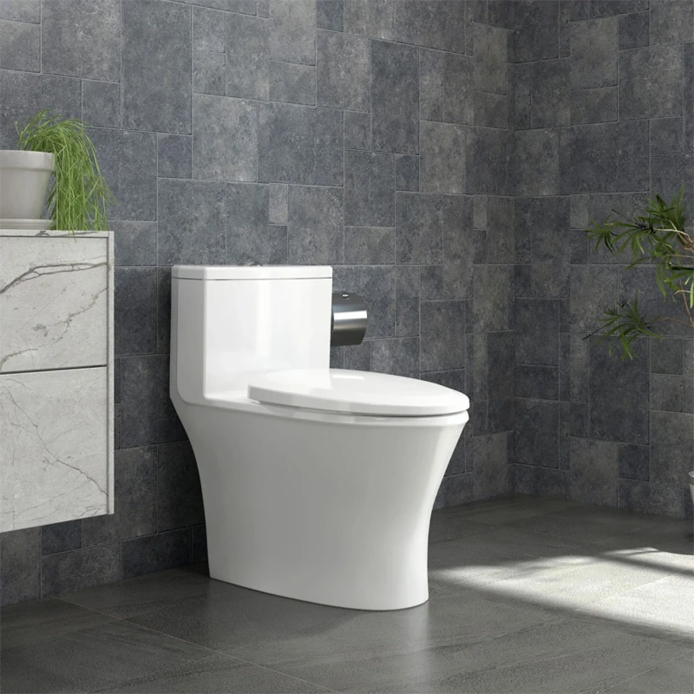 bon cau viglacera v803