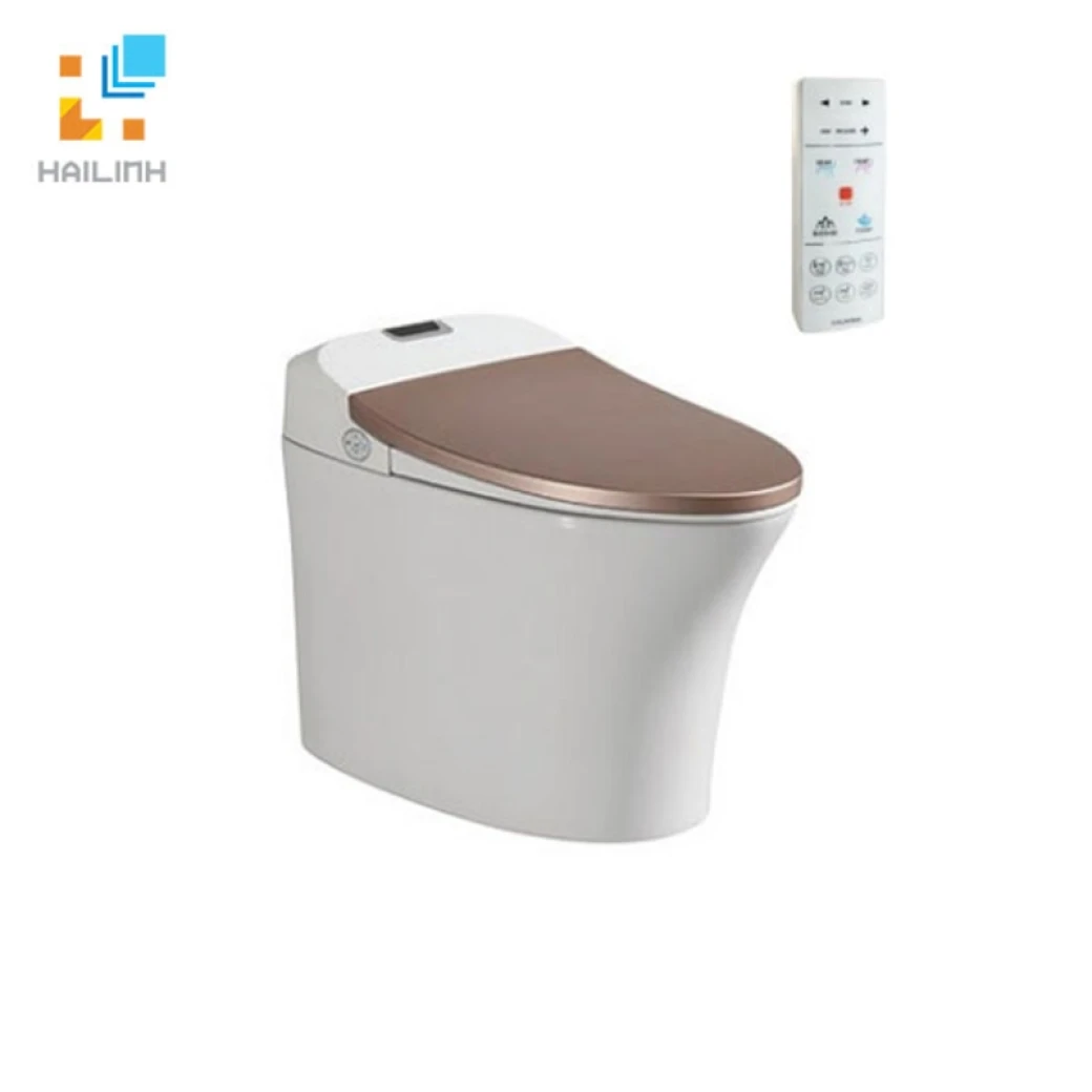 Bon cau thong minh Viglacera V93GW