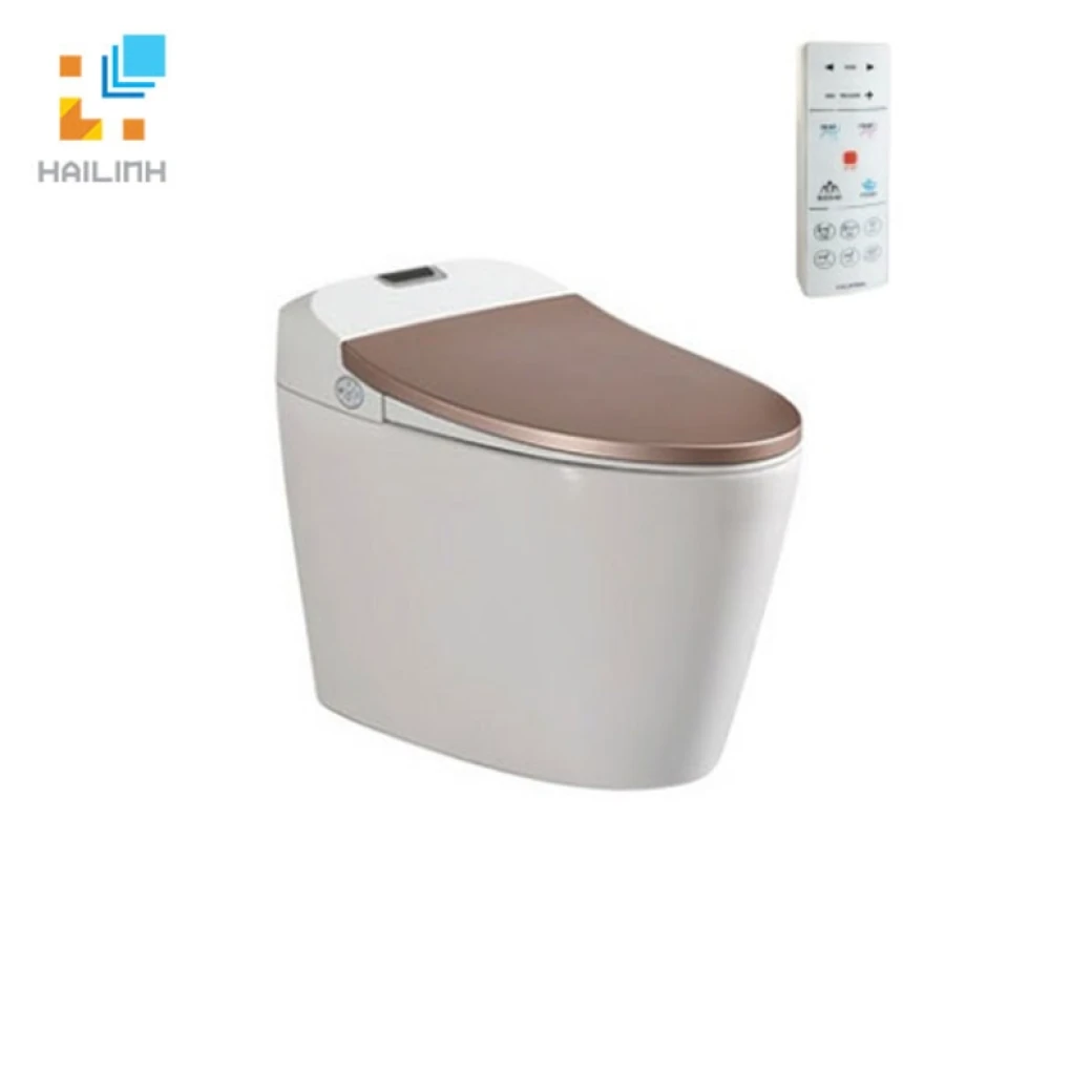 Bon cau thong minh Viglacera V94GW 