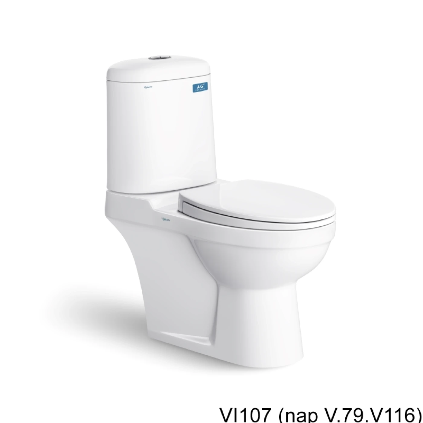 bon cau viglacera VI107 (nap V 79 V116)