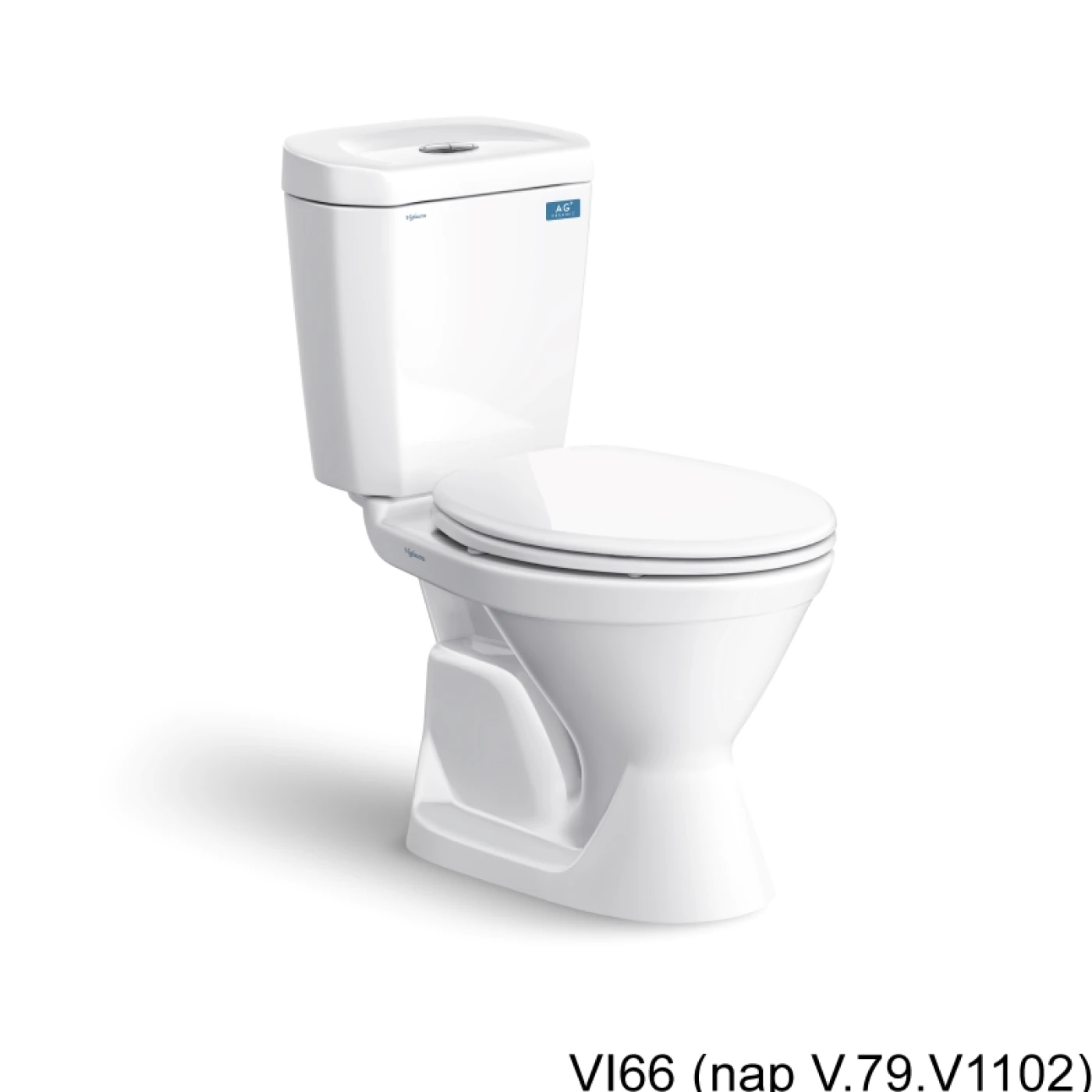 bon cau viglacera VI66 (nap V 79 V1102)
