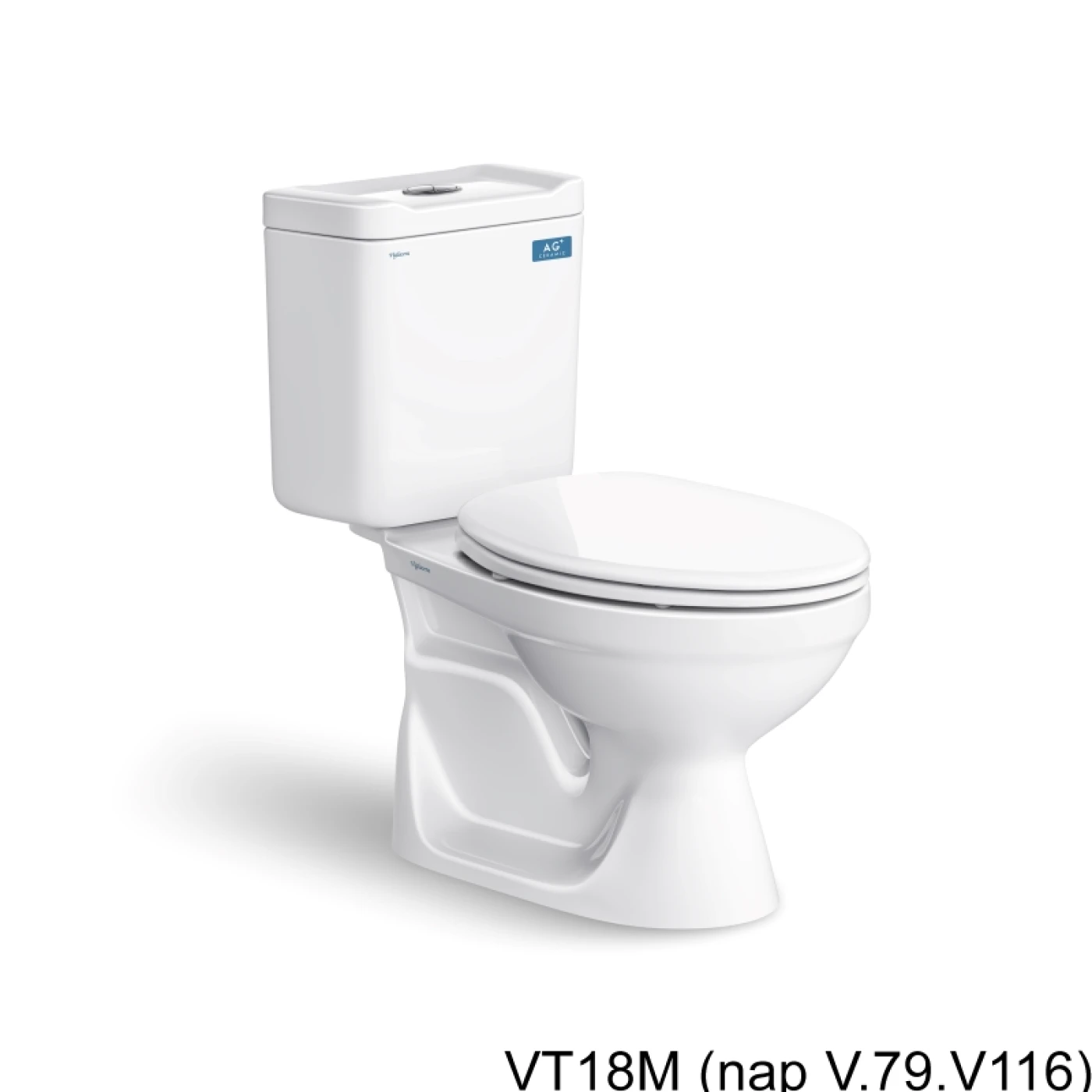 bon cau viglacera VT18M (nap V 79 V1102)