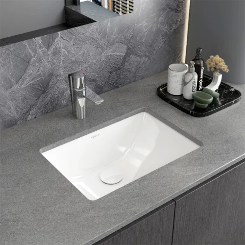 Ảnh Chậu rửa âm bàn Viglacera TS1 2