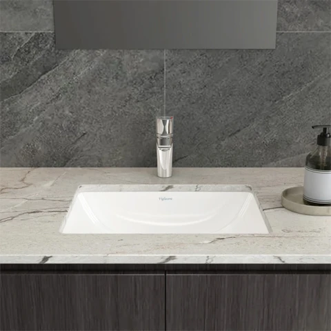 Ảnh Chậu rửa âm bàn Viglacera US3 3