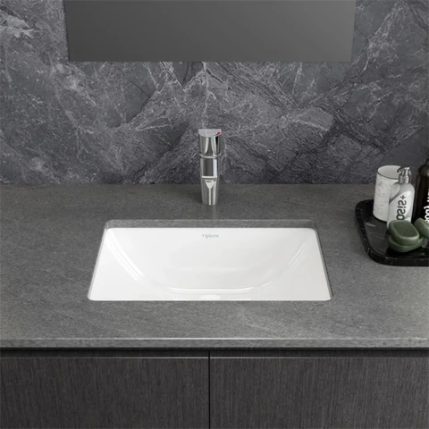 Ảnh Chậu rửa âm bàn Viglacera TS1 4