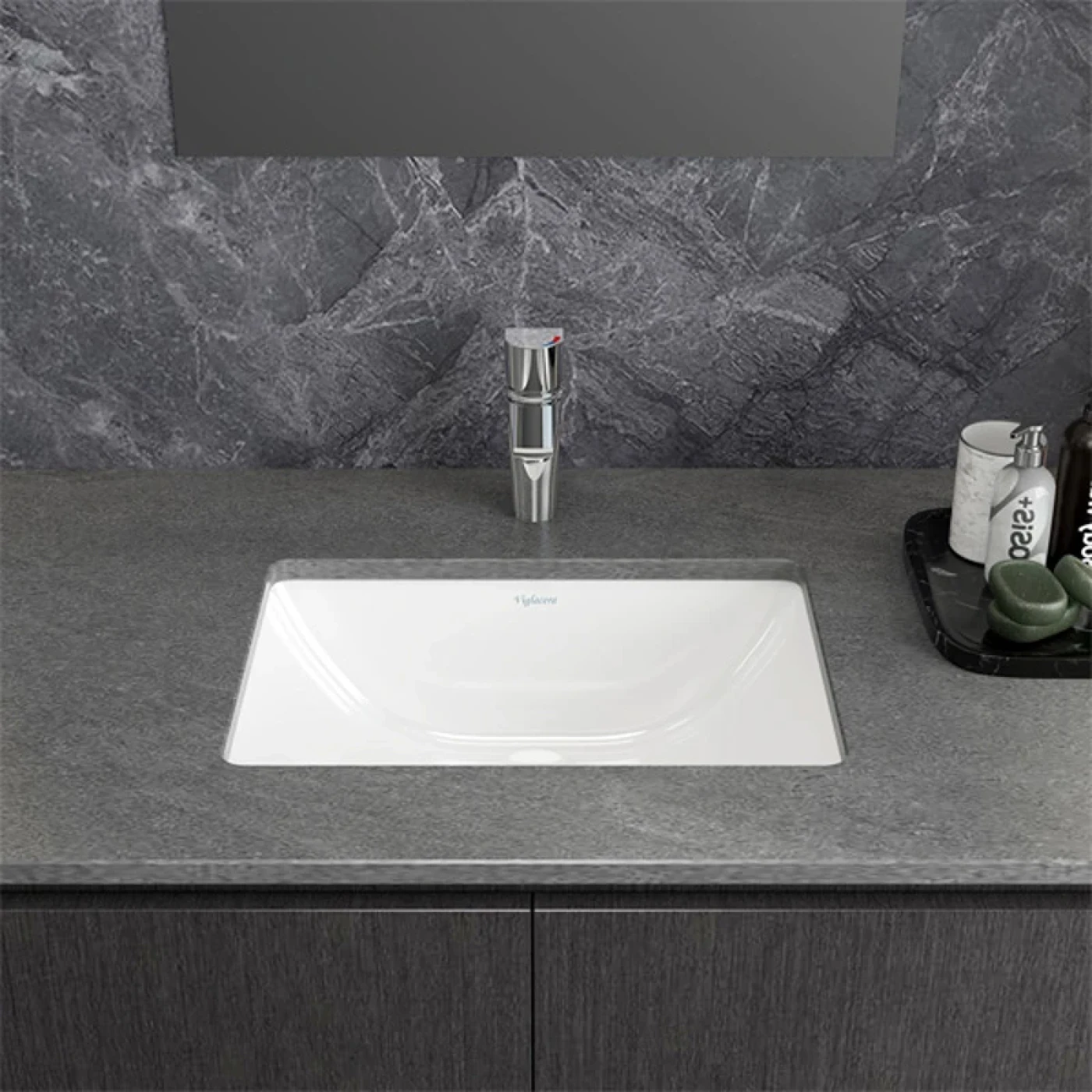 chau rua viglacera ts1 sang trong