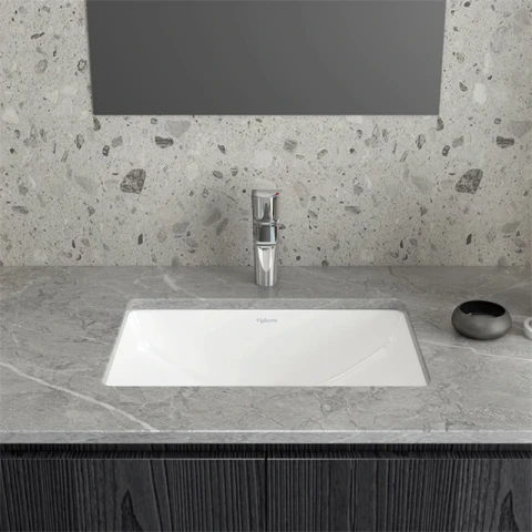 Ảnh Chậu rửa âm bàn Viglacera US2 5