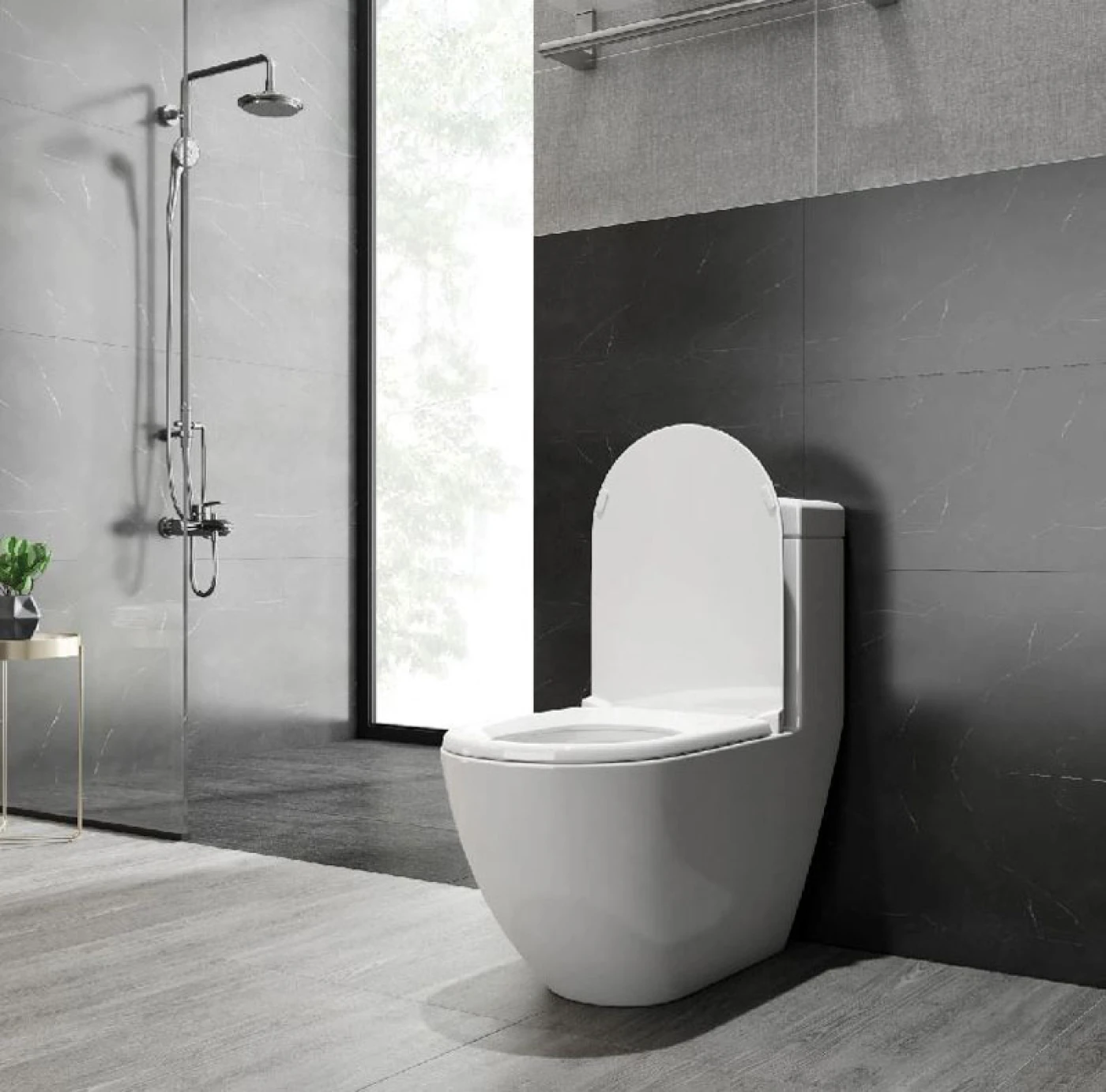 phong mau bon cau v199