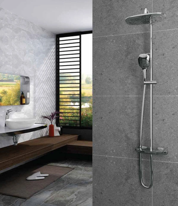 Ảnh Sen tắm cây Viglacera Platinum P.58.320 3