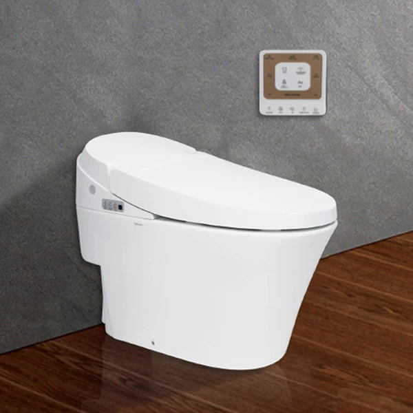 Ảnh Bồn cầu thông minh Viglacera V91 7