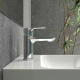 Vòi chậu 1 lỗ lạnh VG132.2 3