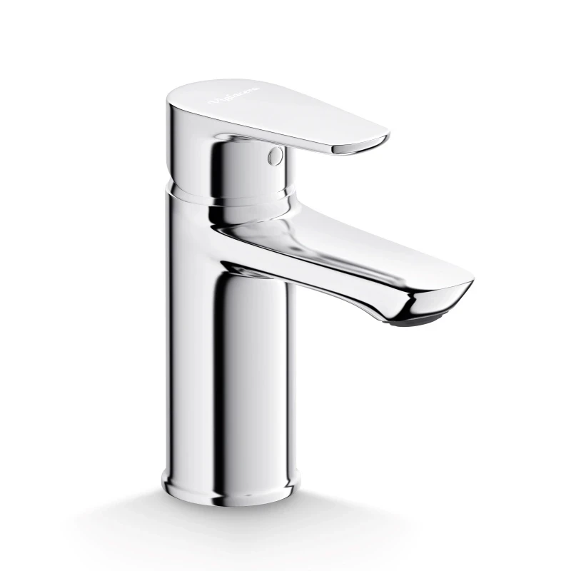 Vòi chậu 1 lỗ lạnh VG132.2