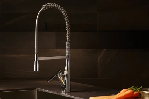 Ảnh Vòi rửa bát Archi K8731JVS 2