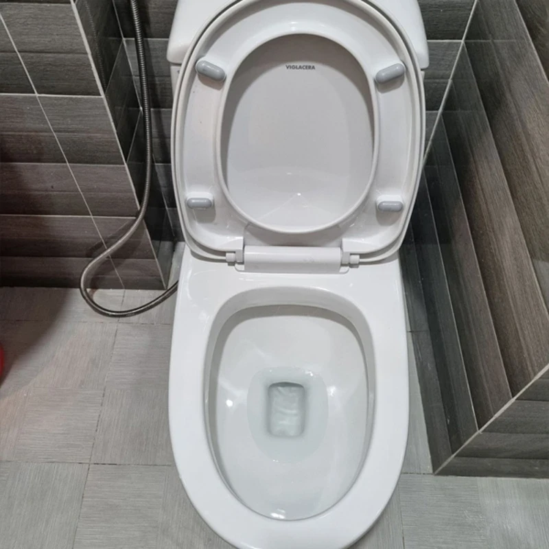 Ảnh Bồn cầu 1 khối Viglacera V38M 3