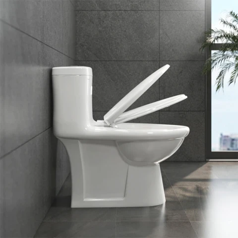 Ảnh Bồn cầu 1 khối Viglacera BL5 5