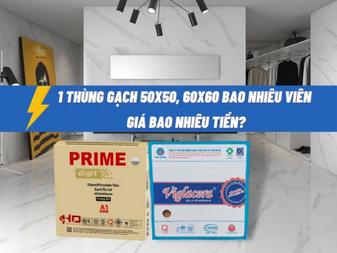 Giá 1 thùng gạch 50x50, 60x60 là bao nhiêu tiền - có bao nhiêu viên?