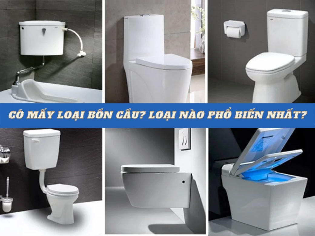 co may loai bon cau loai nao pho bien nhat hien nay