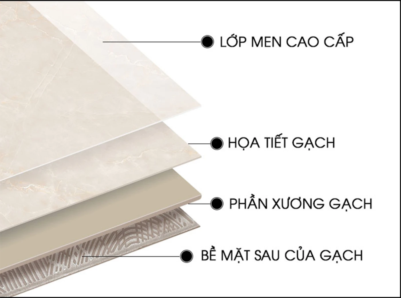 xuong gach la gi