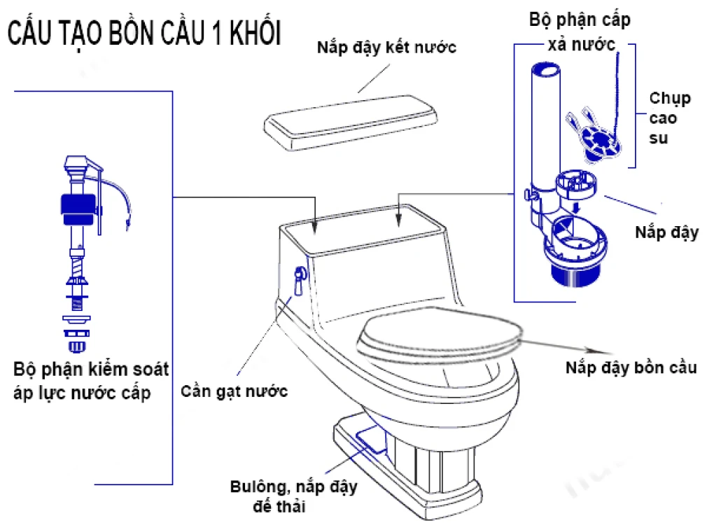 cau tao bon cau inax